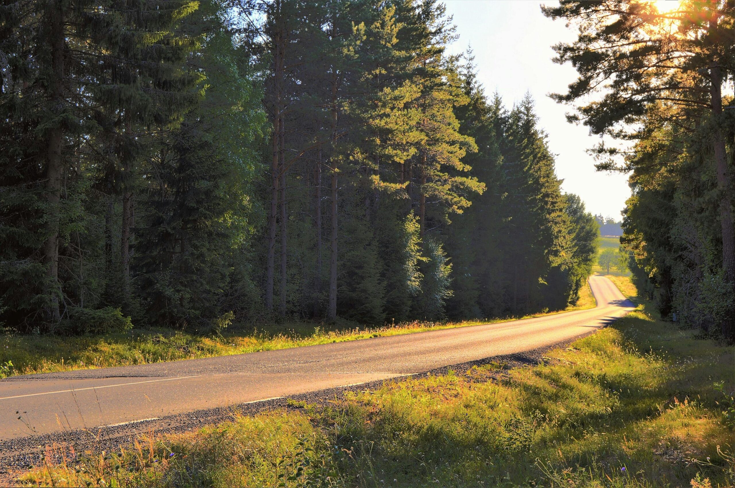 projekta parvietojies zali ilgtspejiga transporta politikas pamatnostadnes un labas prakses piemeru apkopojums un ieviesanas plans