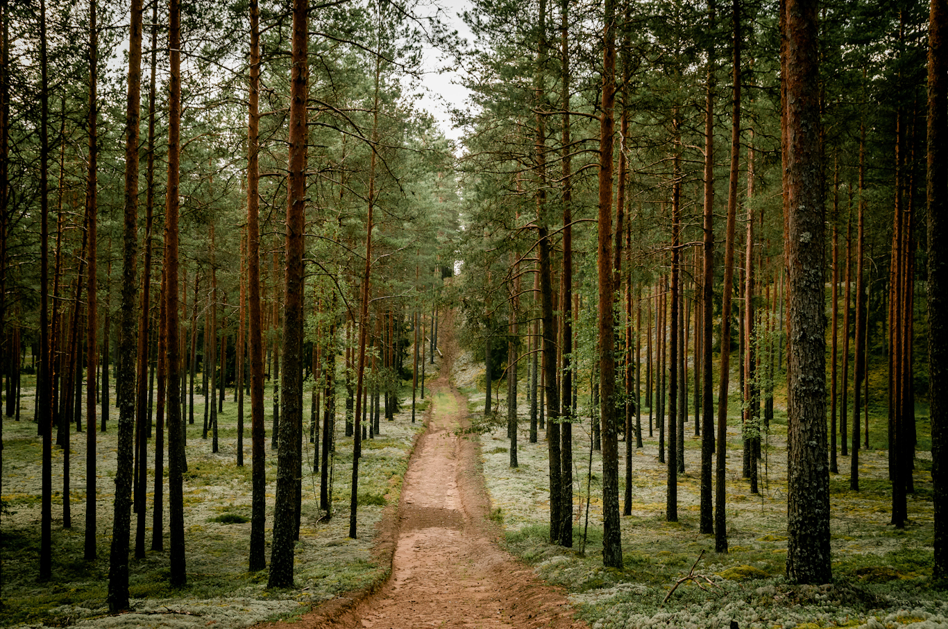 meztakas un jurtakas pargajienu taku pieejamibas uzlabosana dazadam socialajam grupam accessible hiking trails