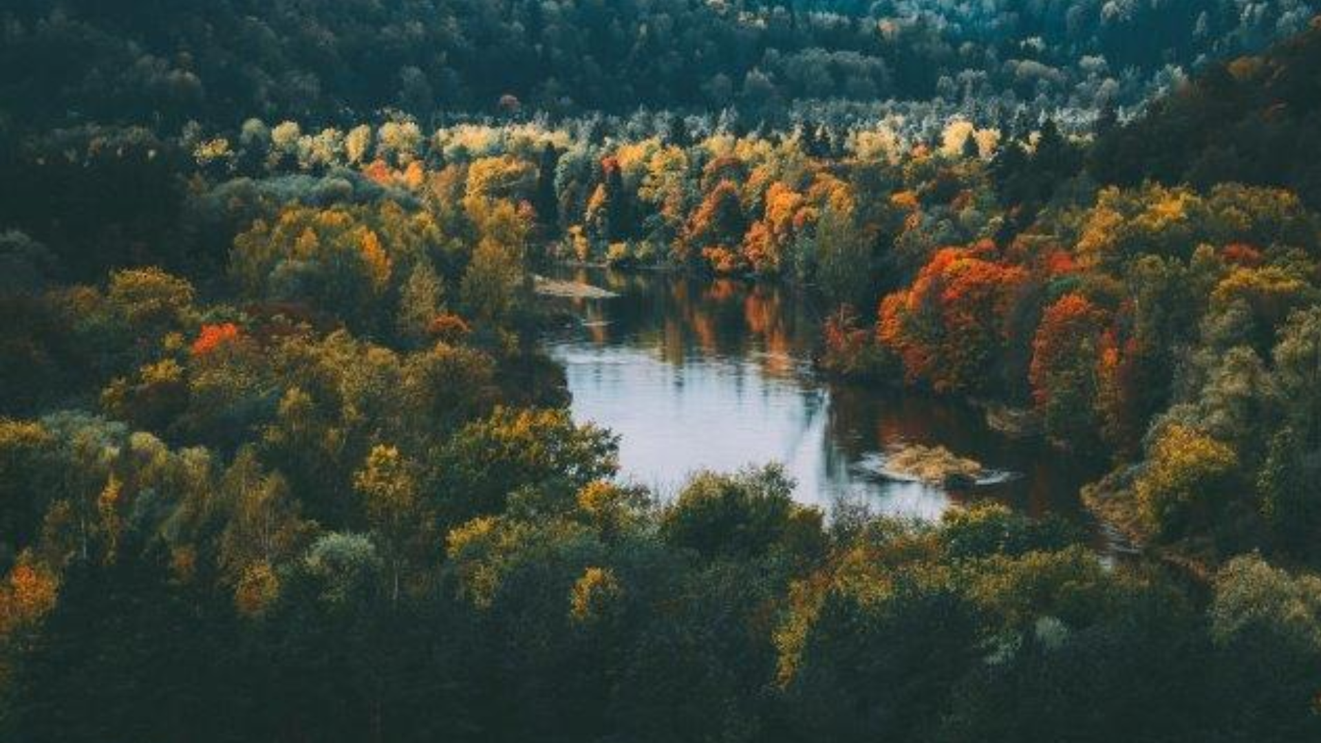 ar parmainu arenas metodi turpinas attistit pirma bioregiona konceptu vidzeme