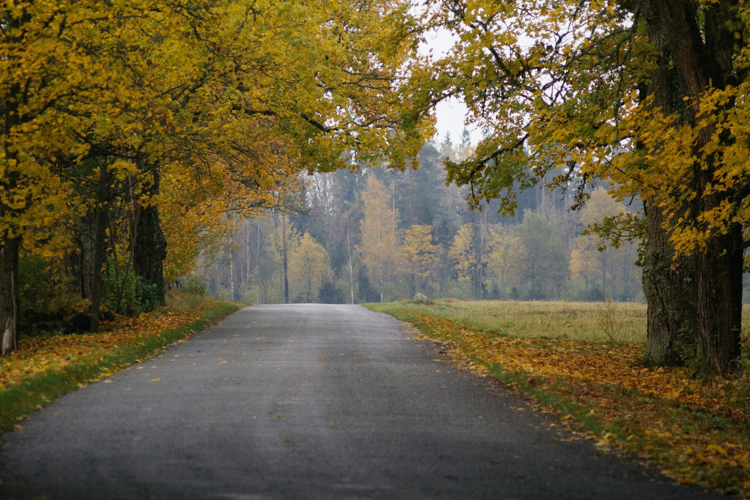 mobilitate un pieejamiba lauku regionos jaunas pieejas mobilitates koncepciju izstradei attalos lauku regionos mara